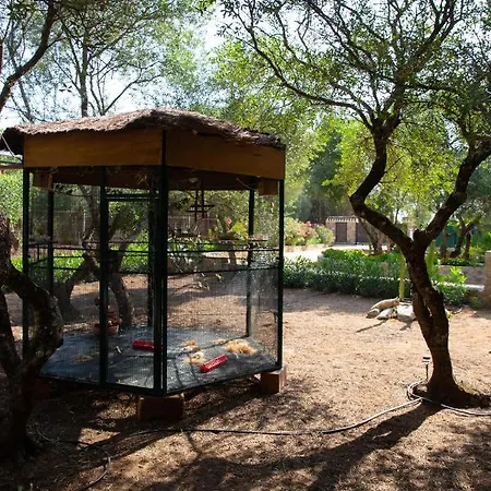Casa Chocolate Hébergement de vacances Malcocinado (Andalucia)